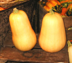 How To Peel Butternut
